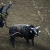 Photos: Professional Bull Riders Try To Hold On At MSG